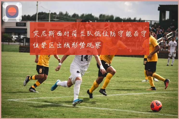 突尼斯面对荷兰队低位防守能否守住禁区出线形势观察